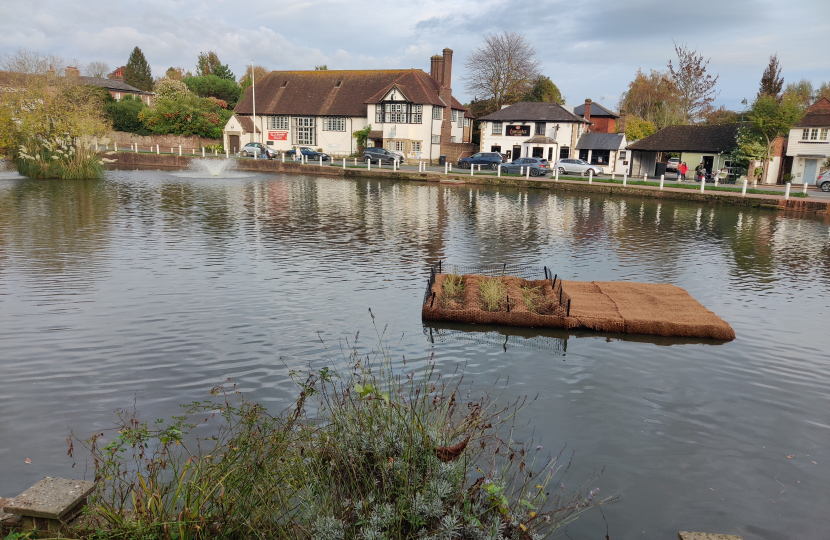 Picturesque picture of Lindfield Village Pond